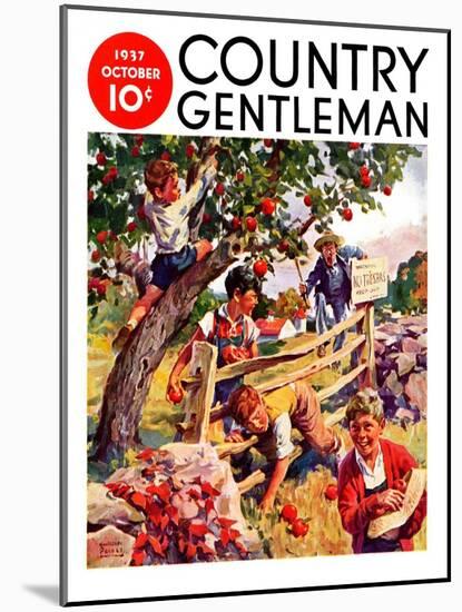 "Stealing Apples," Country Gentleman Cover, October 1, 1937-William Meade Prince-Mounted Giclee Print