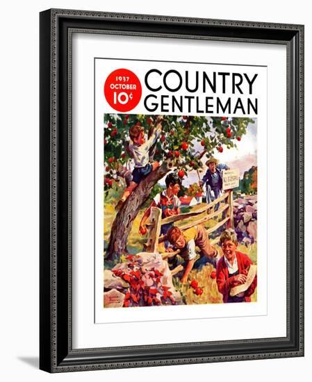 "Stealing Apples," Country Gentleman Cover, October 1, 1937-William Meade Prince-Framed Giclee Print