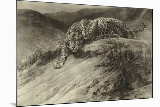 Stealth-Herbert Dicksee-Mounted Giclee Print