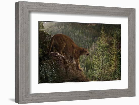 Stealthy-Steve Hunziker-Framed Art Print