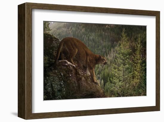 Stealthy-Steve Hunziker-Framed Art Print