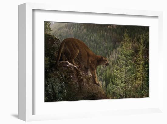 Stealthy-Steve Hunziker-Framed Art Print