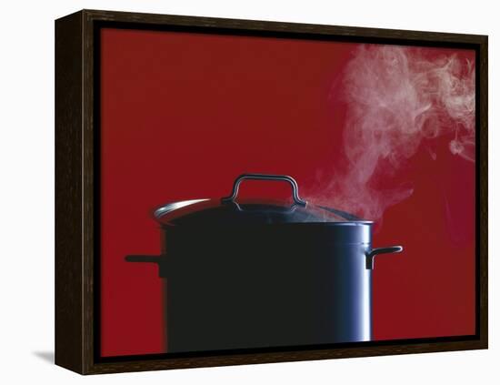 Steam Escaping from a Pan with a Lid-Hartmut Seehuber-Framed Premier Image Canvas