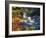 Steam Fumaroles, Jigokudani Geothermal Area, Noboribetsu Onsen, Shikotsu-Toya National Park, Japan-Tony Waltham-Framed Photographic Print