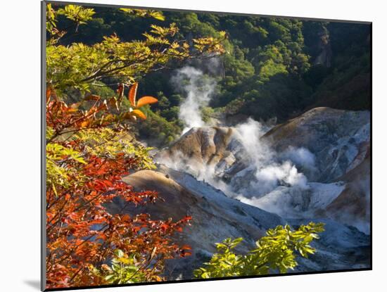 Steam Fumaroles, Jigokudani Geothermal Area, Noboribetsu Onsen, Shikotsu-Toya National Park, Japan-Tony Waltham-Mounted Photographic Print