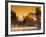 Steam Rises off Pond at Pioneer Park at Sunrise, Washington, USA-Brent Bergherm-Framed Photographic Print