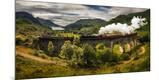 Photographic Print