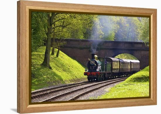 Steam Train on Bluebell Railway, Horsted Keynes, West Sussex, England, United Kingdom, Europe-Neil Farrin-Framed Premier Image Canvas