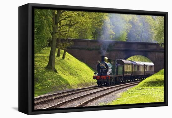 Steam Train on Bluebell Railway, Horsted Keynes, West Sussex, England, United Kingdom, Europe-Neil Farrin-Framed Premier Image Canvas