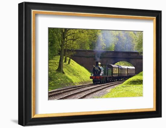 Steam Train on Bluebell Railway, Horsted Keynes, West Sussex, England, United Kingdom, Europe-Neil Farrin-Framed Photographic Print