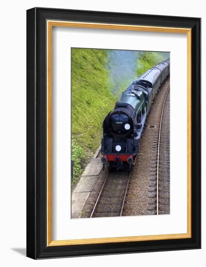 Steam Train on Bluebell Railway, Horsted Keynes, West Sussex, England, United Kingdom, Europe-Neil Farrin-Framed Photographic Print