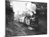 Steam Train on the Southern Region Nr-null-Mounted Photographic Print