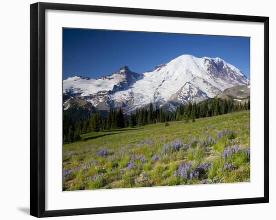 Steamboat Prow Formation, Mount Rainier National Park, Washington, USA-Jamie & Judy Wild-Framed Photographic Print