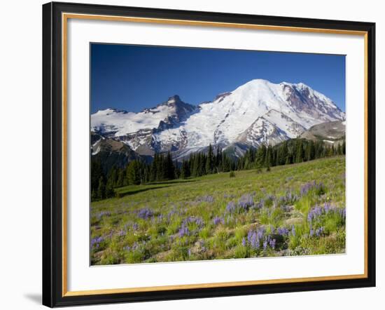 Steamboat Prow Formation, Mount Rainier National Park, Washington, USA-Jamie & Judy Wild-Framed Photographic Print