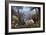 Steamboat Springs, Colorado - Wildlife Utopia-Lantern Press-Framed Art Print