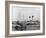 Steamboats Loading Cotton at New Orleans, Louisiana, C.1890 (B/W Photo)-American Photographer-Framed Giclee Print