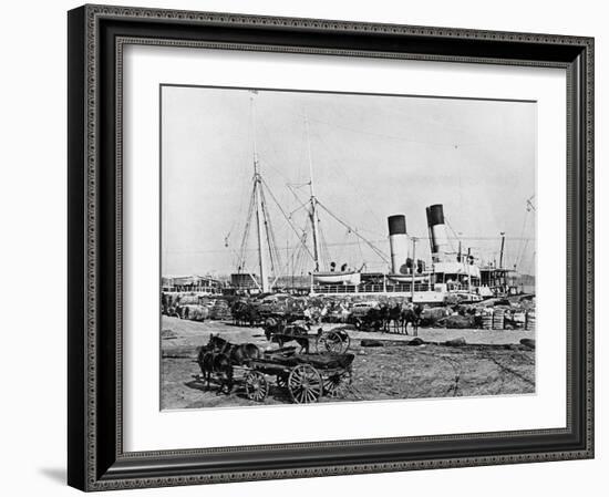Steamboats Loading Cotton at New Orleans, Louisiana, C.1890 (B/W Photo)-American Photographer-Framed Giclee Print