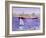 Steamer and Yacht, Iona-Francis Campbell Boileau Cadell-Framed Giclee Print