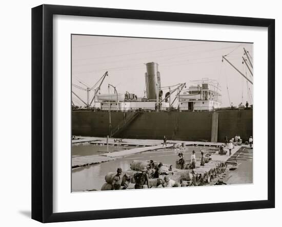 Photo, , large