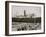 Steamer Loading Hides, New Orleans, La.-null-Framed Photo