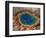 Steaming Blue Hot Spring-Raymond Gehman-Framed Photographic Print