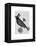 Steampunk Crow-Fab Funky-Framed Stretched Canvas