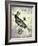 Steampunk Crow-Fab Funky-Framed Art Print