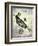 Steampunk Crow-Fab Funky-Framed Art Print