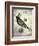 Steampunk Crow-Fab Funky-Framed Art Print