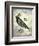 Steampunk Crow-Fab Funky-Framed Premium Giclee Print