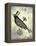 Steampunk Crow-Fab Funky-Framed Stretched Canvas