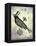 Steampunk Crow-Fab Funky-Framed Stretched Canvas