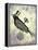 Steampunk Crow-Fab Funky-Framed Stretched Canvas