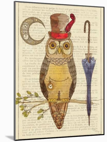 Steampunk Owl I-Elyse DeNeige-Mounted Art Print