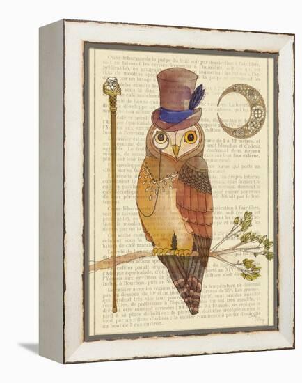 Steampunk Owl II-Elyse DeNeige-Framed Stretched Canvas