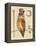Steampunk Owl II-Elyse DeNeige-Framed Stretched Canvas