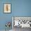 Steampunk Owl II-Elyse DeNeige-Framed Art Print displayed on a wall