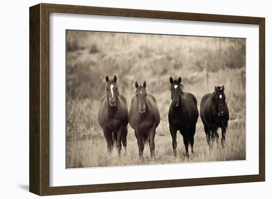 Steed Study-Russell Young-Framed Giclee Print