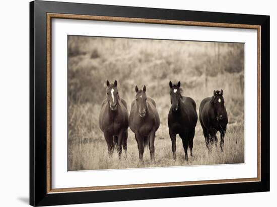 Steed Study-Russell Young-Framed Giclee Print