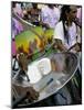 Steel Band Festival, Point Fortin, Trinidad, West Indies, Caribbean, Central America-Robert Harding-Mounted Photographic Print