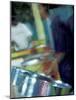 Steel Drums, Port of Spain, Trinidad, Caribbean-Greg Johnston-Mounted Photographic Print