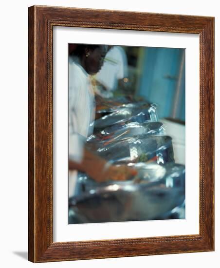 Steel Drums, Port of Spain, Trinidad, Caribbean-Greg Johnston-Framed Photographic Print