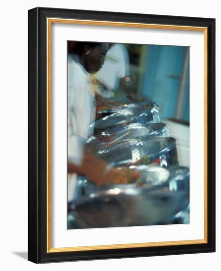 Steel Drums, Port of Spain, Trinidad, Caribbean-Greg Johnston-Framed Photographic Print