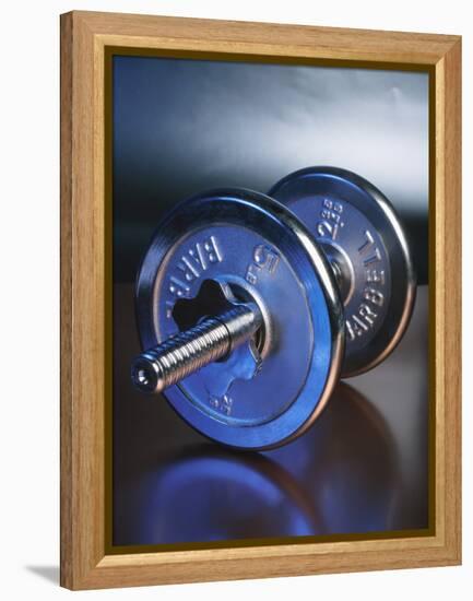 Steel Dumbbell for Workout-null-Framed Premier Image Canvas