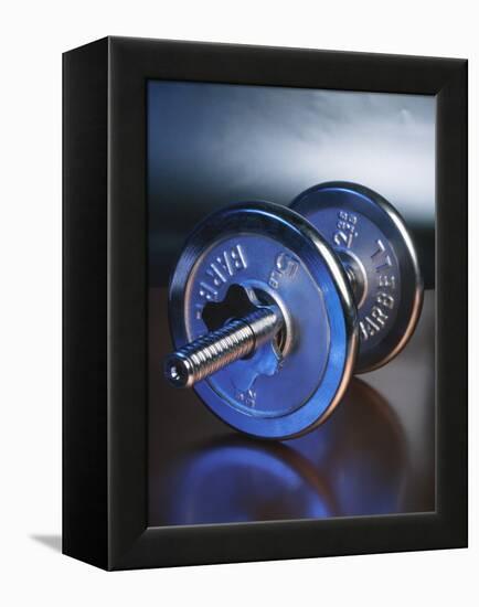 Steel Dumbbell for Workout-null-Framed Premier Image Canvas