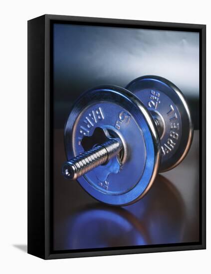 Steel Dumbbell for Workout-null-Framed Premier Image Canvas