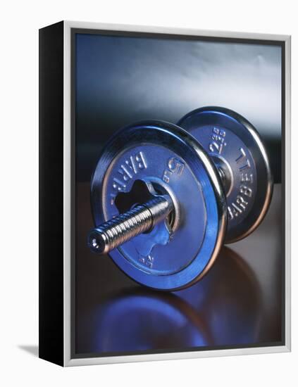 Steel Dumbbell for Workout-null-Framed Premier Image Canvas