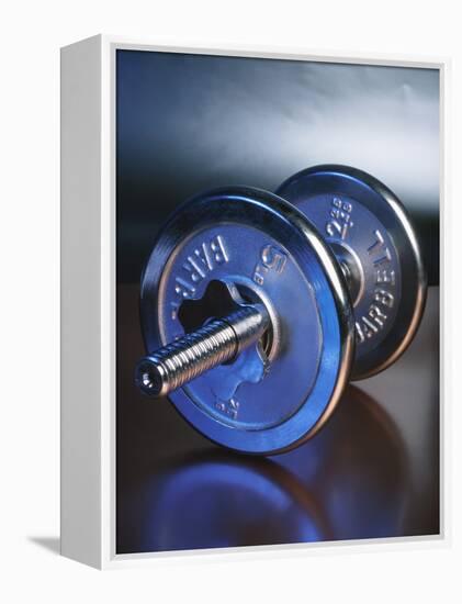 Steel Dumbbell for Workout-null-Framed Premier Image Canvas