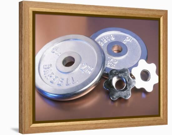 Steel Dumbbell Weights-null-Framed Premier Image Canvas