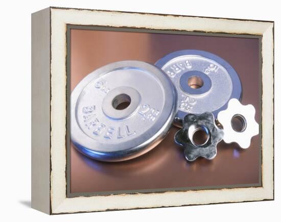 Steel Dumbbell Weights-null-Framed Premier Image Canvas